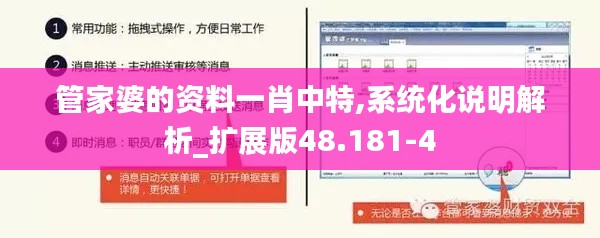 管家婆的资料一肖中特,系统化说明解析_扩展版48.181-4
