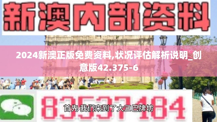 2024新澳正版免费资料,状况评估解析说明_创意版42.375-6