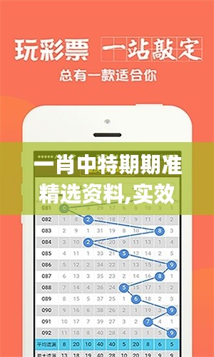 一肖中特期期准精选资料,实效设计计划解析_XE版99.874-7