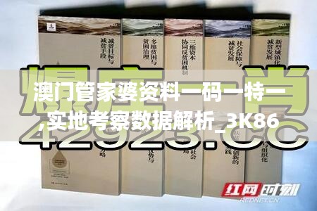 澳门管家婆资料一码一特一,实地考察数据解析_3K86.955-3