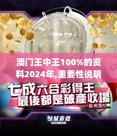 澳门王中王100%的资料2024年,重要性说明方法_FT73.270-8