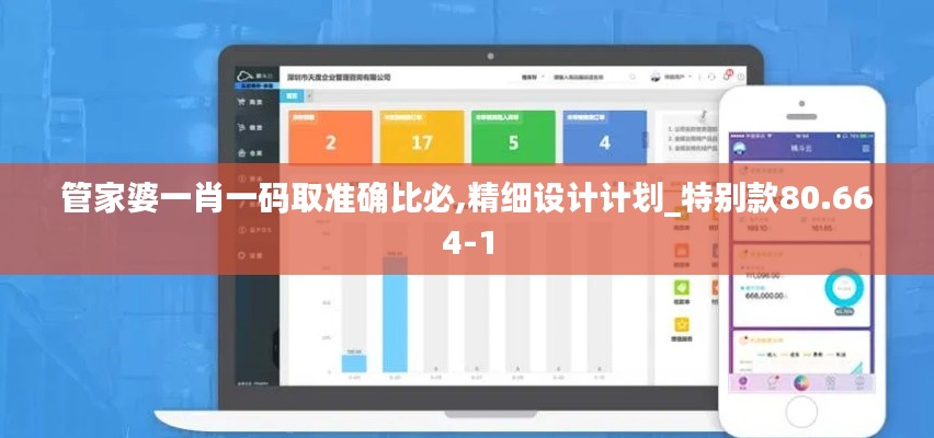 管家婆一肖一码取准确比必,精细设计计划_特别款80.664-1