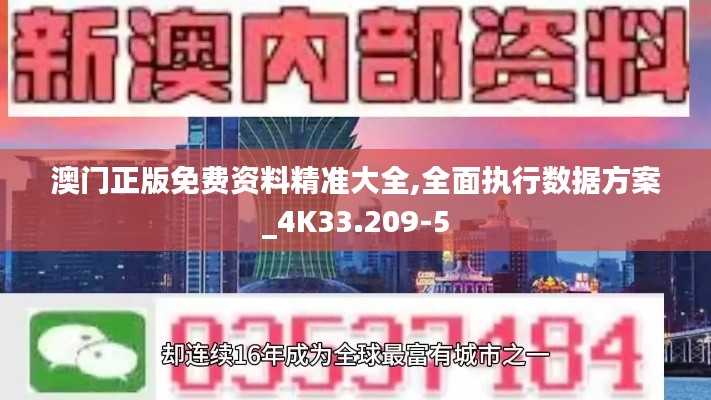 澳门正版免费资料精准大全,全面执行数据方案_4K33.209-5