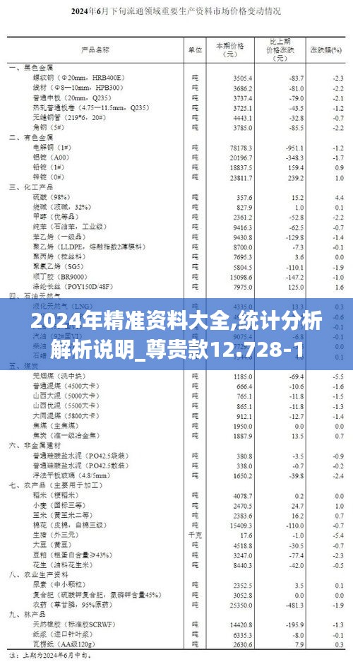 2024年精准资料大全,统计分析解析说明_尊贵款12.728-1