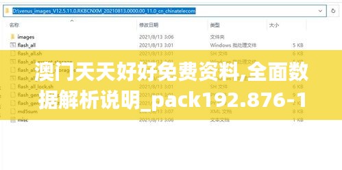 澳门天天好好免费资料,全面数据解析说明_pack192.876-1