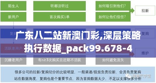 广东八二站新澳门彩,深层策略执行数据_pack99.678-4