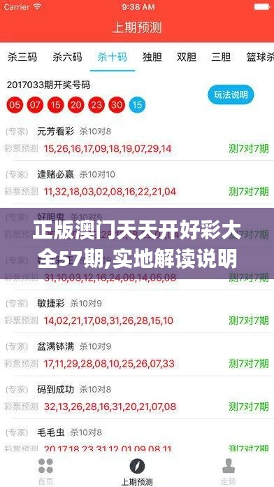 正版澳门天天开好彩大全57期,实地解读说明_运动版76.115-3