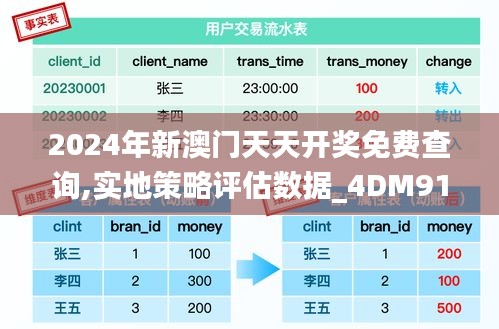 2024年新澳门天天开奖免费查询,实地策略评估数据_4DM91.274-7