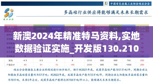 新澳2024年精准特马资料,实地数据验证实施_开发版130.210-4