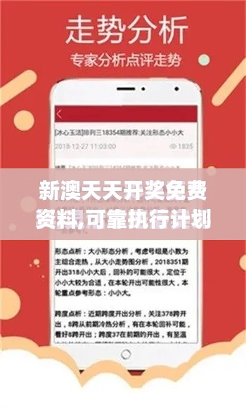 新澳天天开奖免费资料,可靠执行计划策略_pack196.683-2