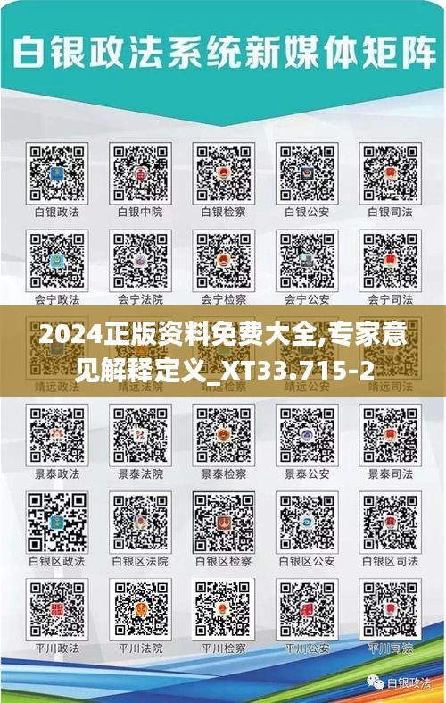 2024正版资料免费大全,专家意见解释定义_XT33.715-2
