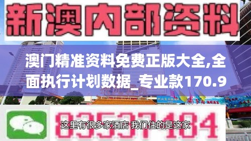 澳门精准资料免费正版大全,全面执行计划数据_专业款170.944-5