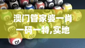 澳门管家婆一肖一码一特,实地考察数据执行_微型版27.989-4