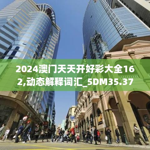 2024澳门天天开好彩大全162,动态解释词汇_5DM35.379-6