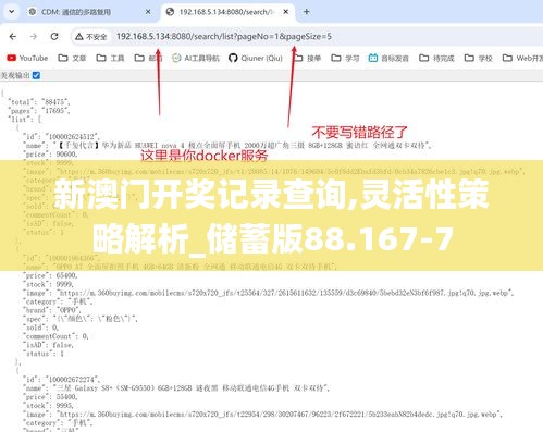 新澳门开奖记录查询,灵活性策略解析_储蓄版88.167-7