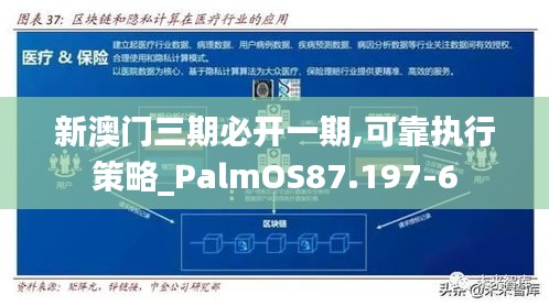 新澳门三期必开一期,可靠执行策略_PalmOS87.197-6