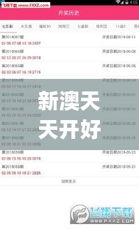 新澳天天开好彩资料大全,准确资料解释定义_3DM94.315-2