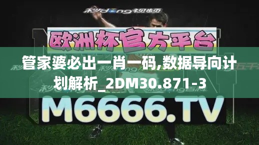 管家婆必出一肖一码,数据导向计划解析_2DM30.871-3