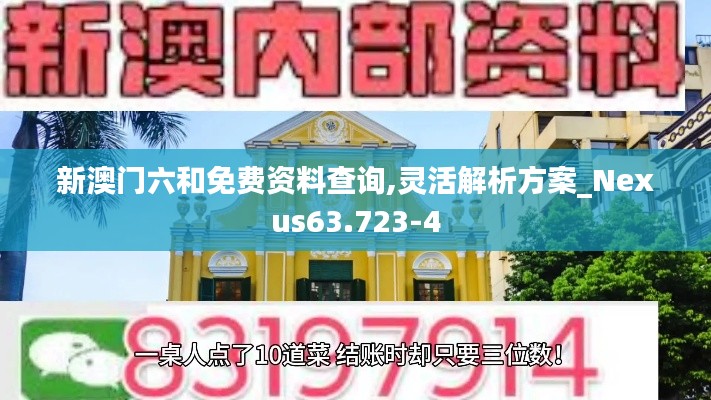 新澳门六和免费资料查询,灵活解析方案_Nexus63.723-4