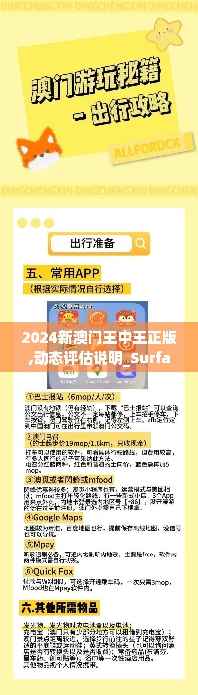 2024新澳门王中王正版,动态评估说明_Surface1.491