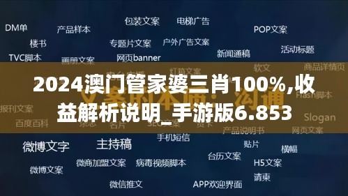 2024澳门管家婆三肖100%,收益解析说明_手游版6.853