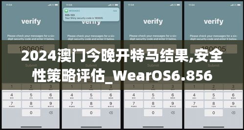 2024澳门今晚开特马结果,安全性策略评估_WearOS6.856