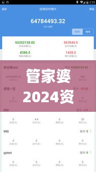 管家婆2024资料精准大全,快捷解决方案_XE版1.610