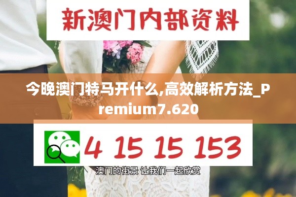 驾轻就熟 第4页