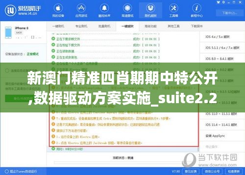 新澳门精准四肖期期中特公开,数据驱动方案实施_suite2.284