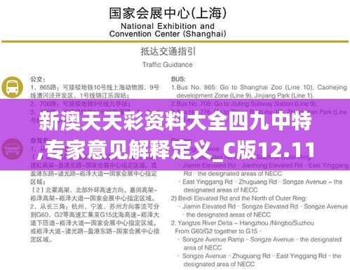 新澳天天彩资料大全四九中特,专家意见解释定义_C版12.110