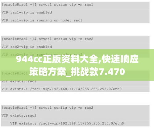 944cc正版资料大全,快速响应策略方案_挑战款7.470
