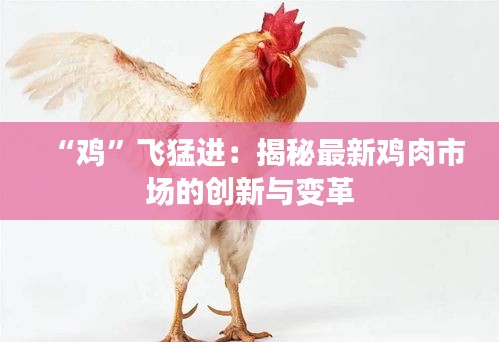 “鸡”飞猛进：揭秘最新鸡肉市场的创新与变革