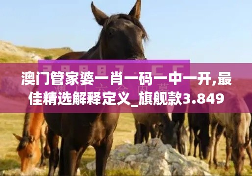 澳门管家婆一肖一码一中一开,最佳精选解释定义_旗舰款3.849