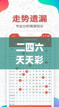 二四六天天彩资料大全第四版,全面说明解析_尊贵版10.214