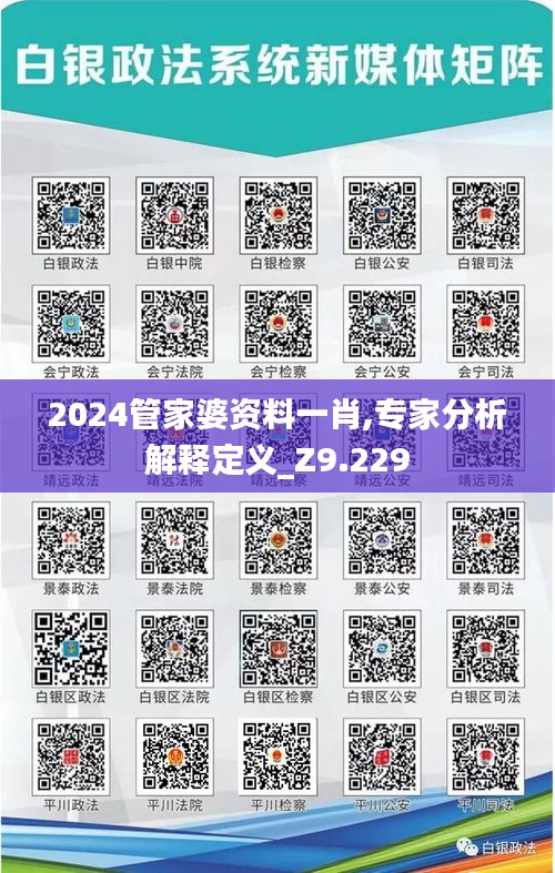 2024管家婆资料一肖,专家分析解释定义_Z9.229