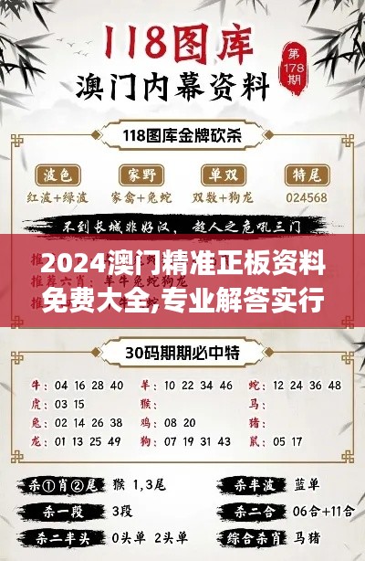 2024澳门精准正板资料免费大全,专业解答实行问题_GT5.548