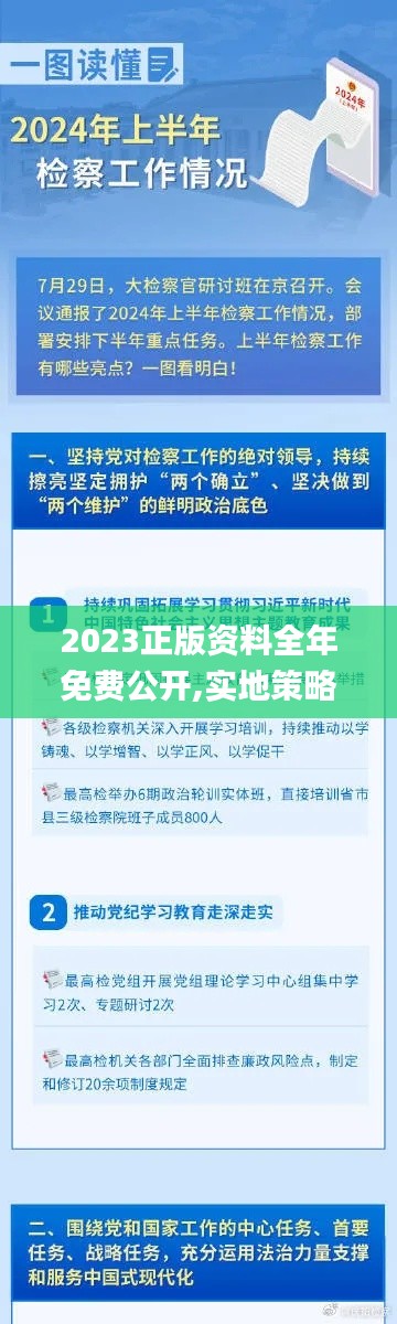 2023正版资料全年免费公开,实地策略验证计划_VR版3.764