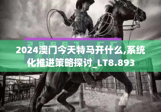 2024澳门今天特马开什么,系统化推进策略探讨_LT8.893