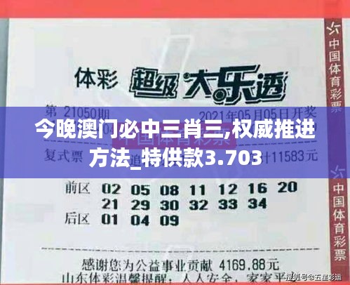 今晚澳门必中三肖三,权威推进方法_特供款3.703