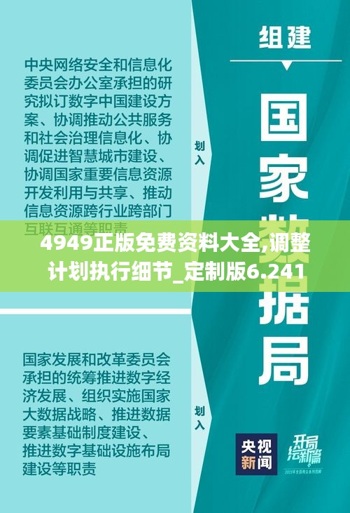 4949正版免费资料大全,调整计划执行细节_定制版6.241