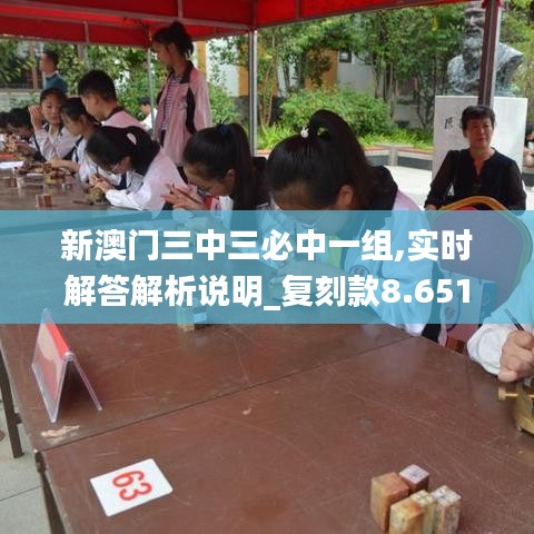 新澳门三中三必中一组,实时解答解析说明_复刻款8.651