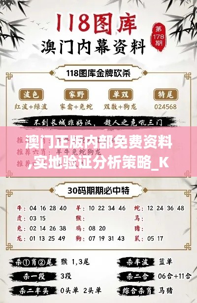 澳门正版内部免费资料,实地验证分析策略_KP6.794