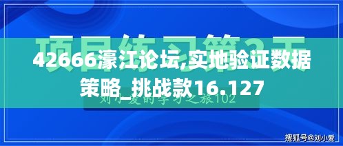 42666濠江论坛,实地验证数据策略_挑战款16.127