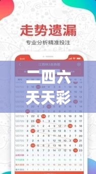 二四六天天彩资料大全网最新版,可靠性计划解析_V版4.398