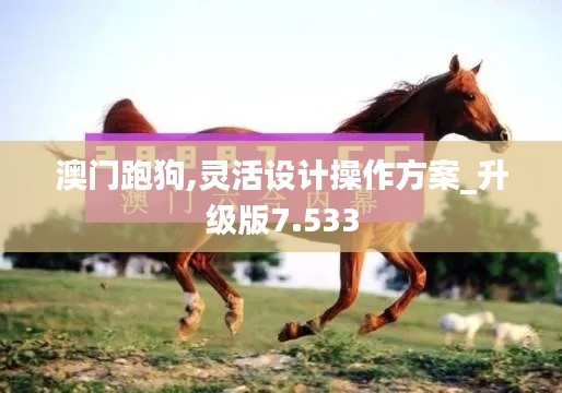 澳门跑狗,灵活设计操作方案_升级版7.533