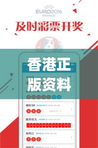 香港正版资料免费资料大全一,稳定性策略设计_界面版7.433