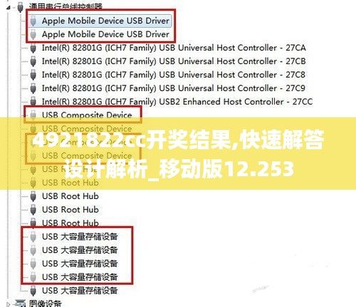 4921822cc开奖结果,快速解答设计解析_移动版12.253