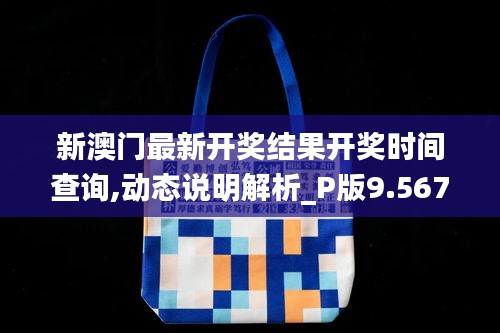 新澳门最新开奖结果开奖时间查询,动态说明解析_P版9.567
