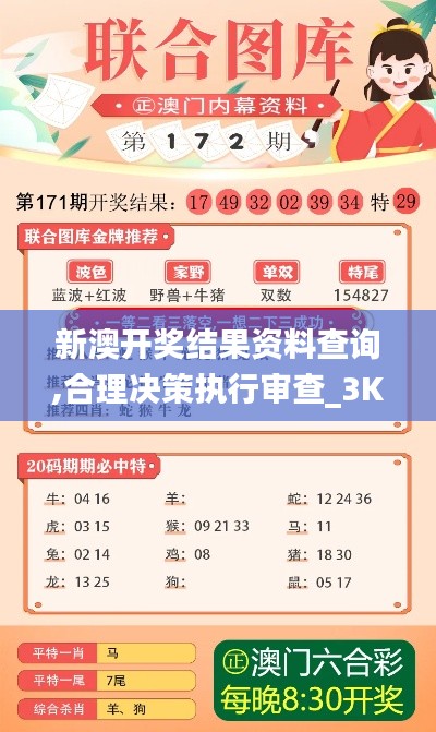 新澳开奖结果资料查询,合理决策执行审查_3K6.847