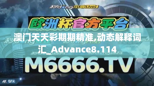澳门天天彩期期精准,动态解释词汇_Advance8.114